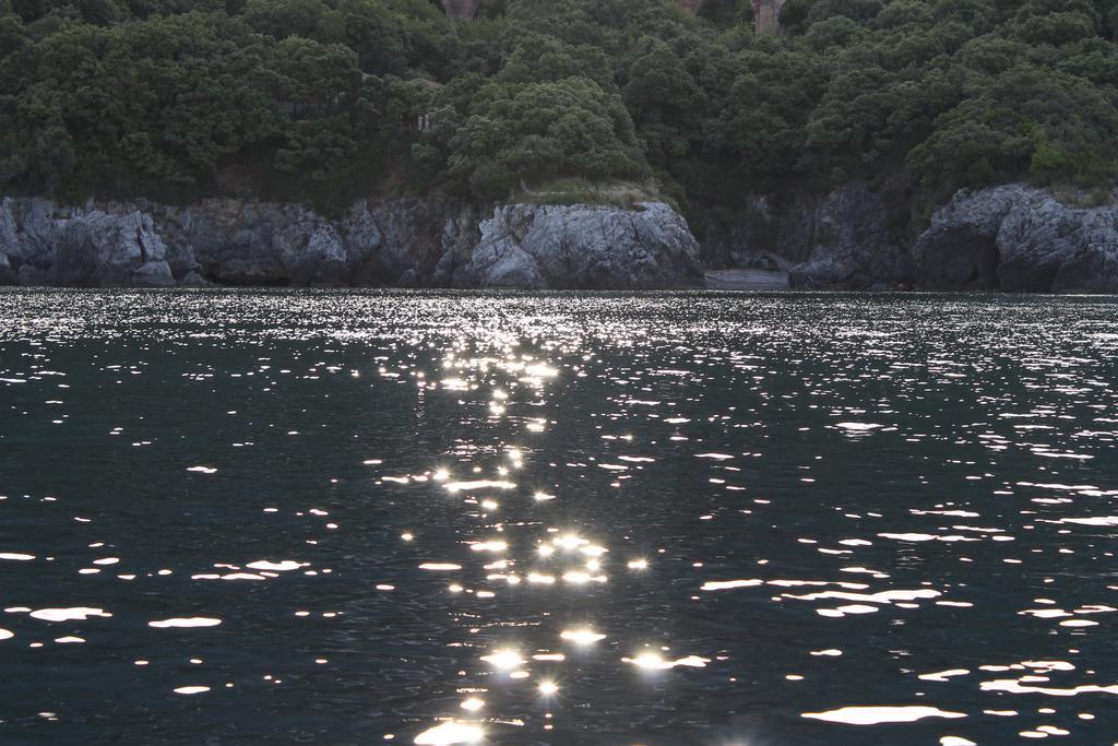 Il Vecchio E Il Mare Maratea Bed & Breakfast エクステリア 写真
